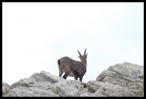 IMG_1598  